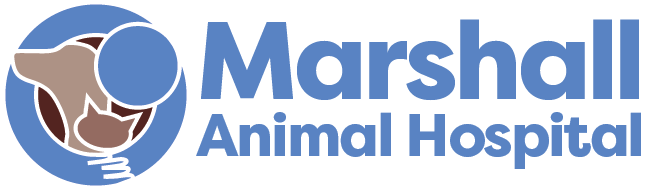 logo for marshall animal hospital