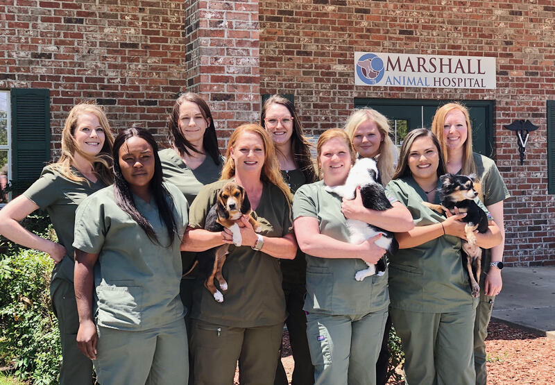 mah-staff team photo